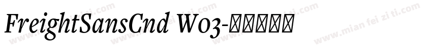 FreightSansCnd W03字体转换